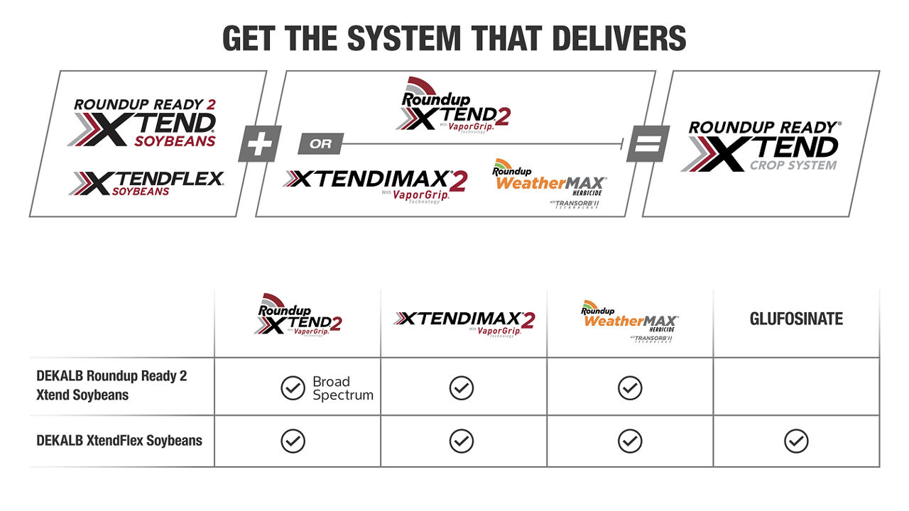 Chart outlining the Roundup Ready Xtend crop system, detailing the herbicide compatibility and spectrum of control for DEKALB Roundup Ready 2 Xtend and XtendFlex soybeans.